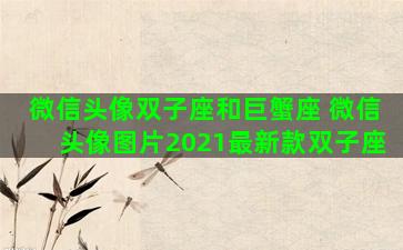 微信头像双子座和巨蟹座 微信头像图片2021最新款双子座